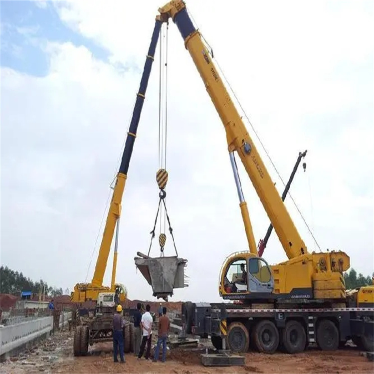 吉阳镇小型吊机出租电话|厂房设备吊装方案|24小时服务覆盖